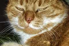Anikan-just-waking-up-min