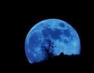 Blue-Moon-min