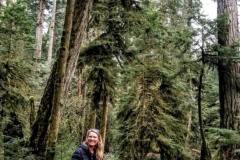 Cathedral-Grove-min