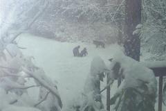 Massive-snow-day-min