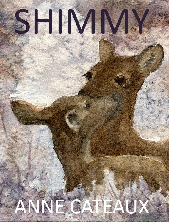 Shimmy Volume 1 Cover